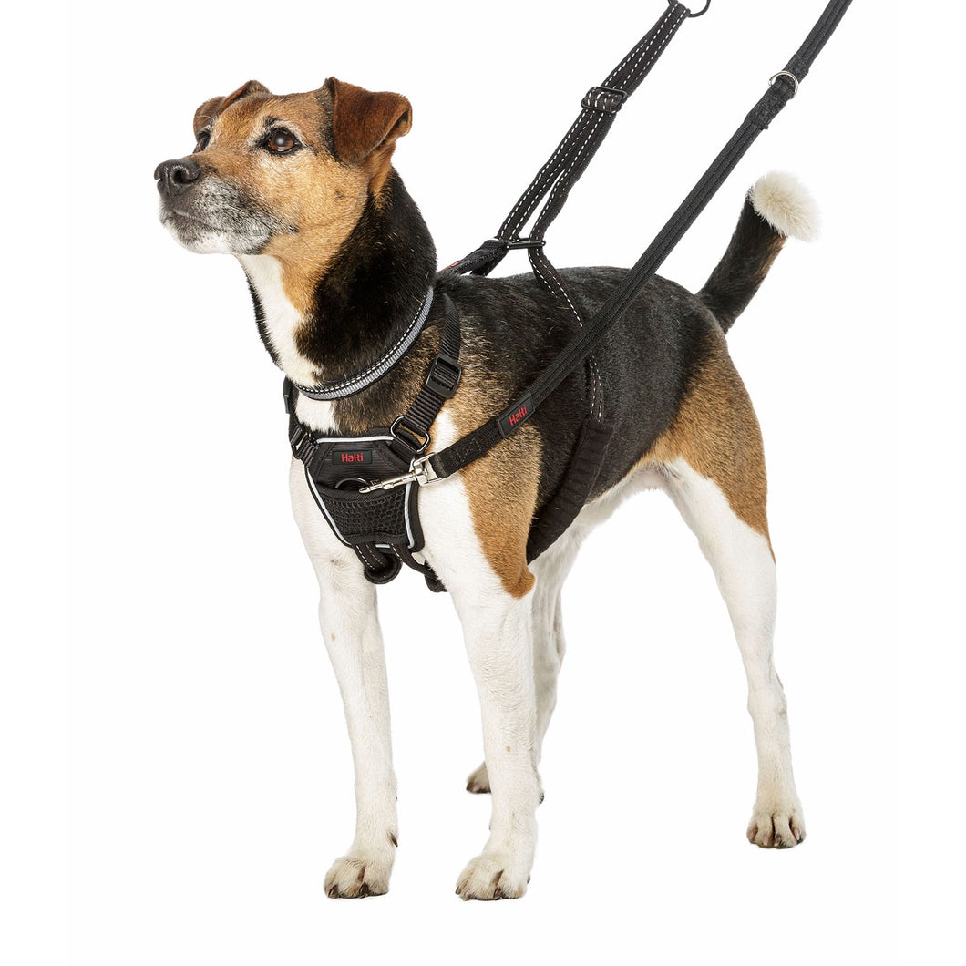COA HALTI NO PULL HARNESS