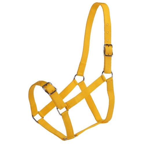 RANCHER STABLE/FLAT HALTER