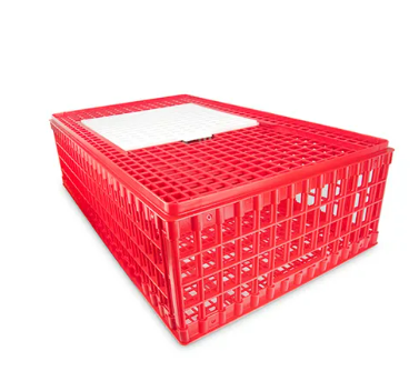 POULTRY TRANSPORT CRATES DOUBLE DOOR