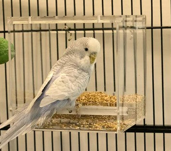 BAINBRIDGE MESS FREE BIRD FEEDER - SMALL