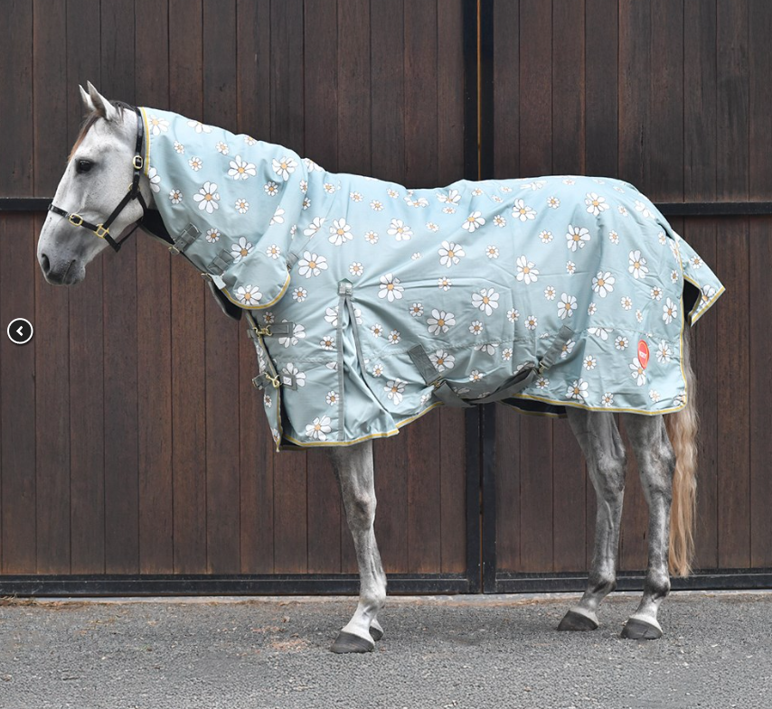 KOZY 1200D COMBO - OLIVE DAISIES