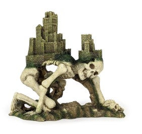 AQUA CARE SKELETON CITY