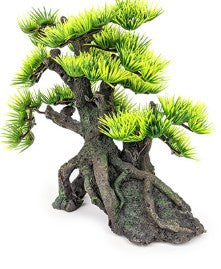 AQUA CARE BONSAI SML