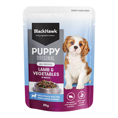 BLACKHAWK PUPPY WET LAMB 85G ENTIRE BOX