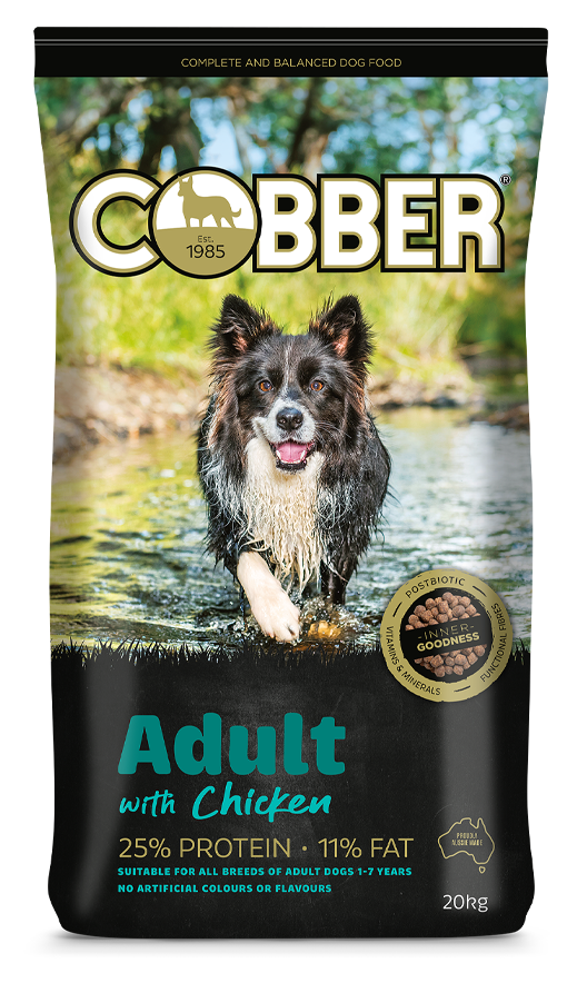 COBBER ADULT CHICKEN - (Special Order)