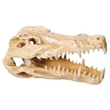 AQUA ONE ORNAMENT CROCODILE SKULL