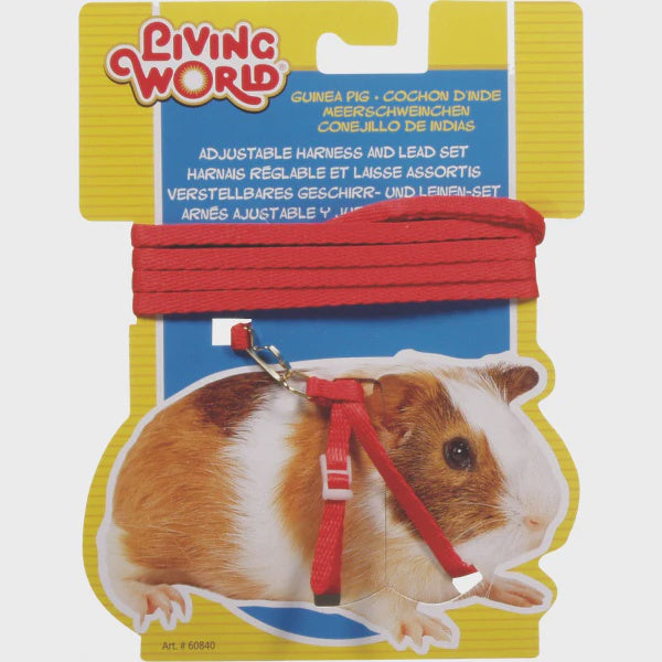 GUINEA PIG HARNESS AND LEAD SET