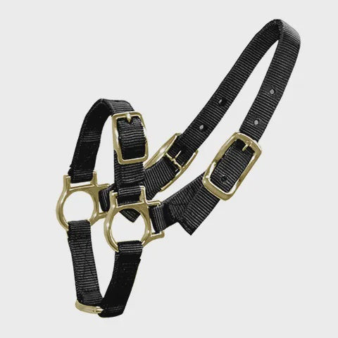 SHEEP/GOAT HALTER BAINBRIDGE