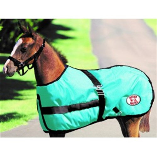 Object Rug Foal GROWING FOAL RUG TEAL/BLK (Special Order) – Narrogin Valley Stockfeed