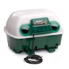 BAINBRIDGE COVINA 12 EGG INCUBATOR (MANUAL)