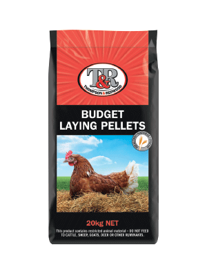 LAYING PELLET BUDGET T&R 20KG