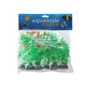 SELECTED PLANT PKT MEDIUM 6PKT