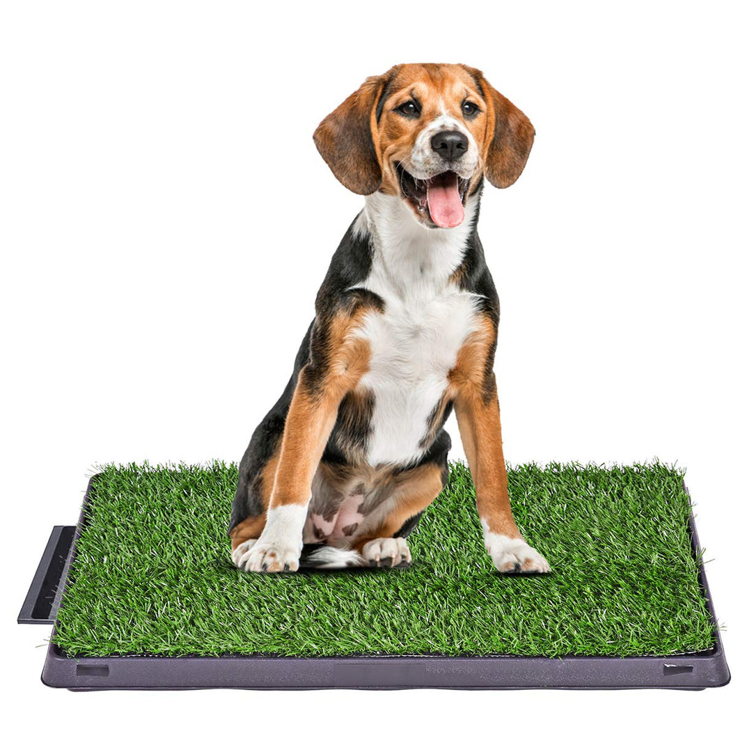 POOWEE GRASS PATCH WITH SLIDE OUT TRAY