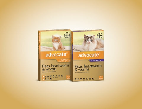 ADVOCATE SMALL CAT UP TO 4KG
