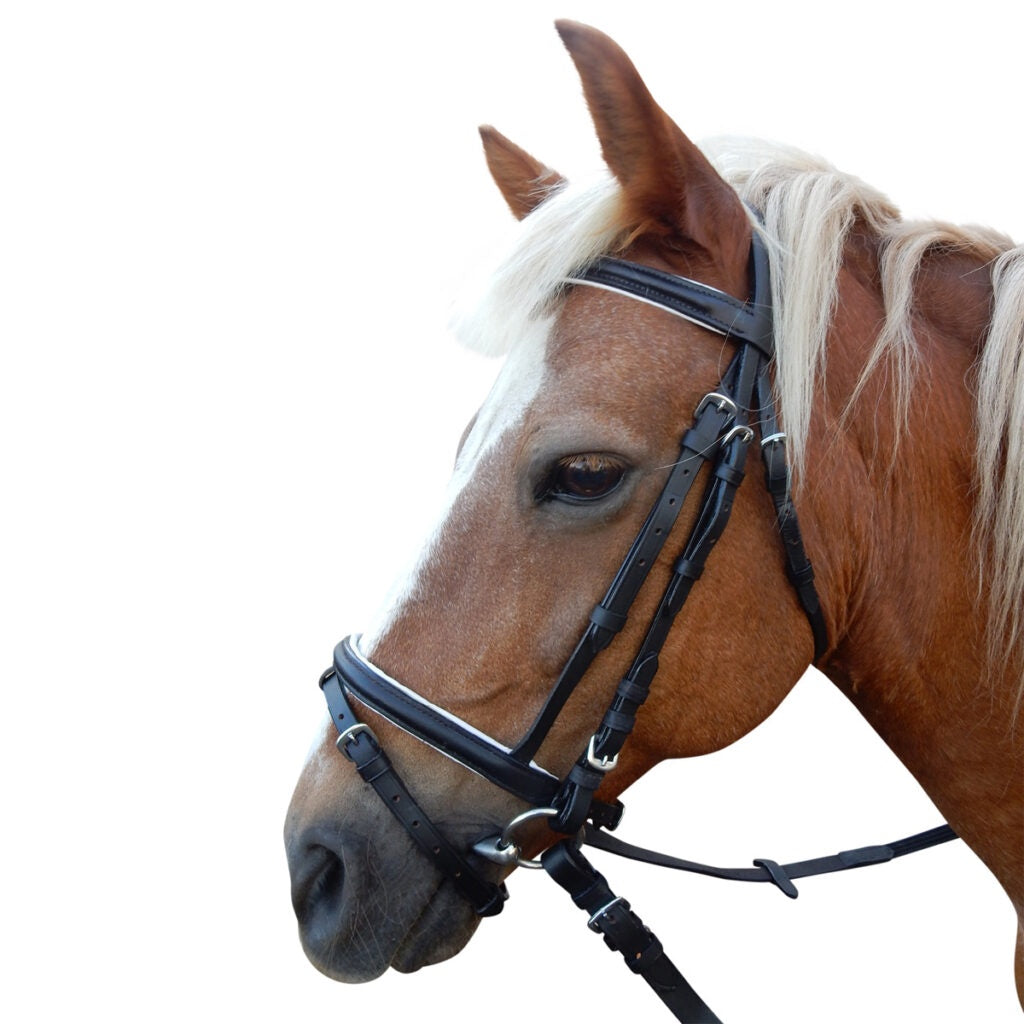 PONY BRIDLE WITH WEB REINS