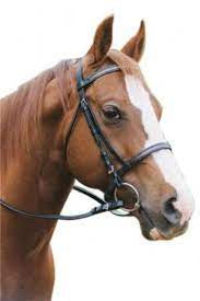 COB BRIDLE BLK  WITH GOLD CHAIN