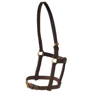 LEATHER HALTER FOAL