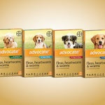 ADVOCATE SINGLE PUPPIES/SMALL DOG UP TO 4KG
