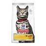 HILL'S SCIENCE DIET CAT URINARY 3.17KG