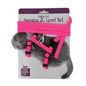 HARNESS & LEAD CAT ON CARD