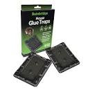 MOUSE GLUE TRAP 4 PACK
