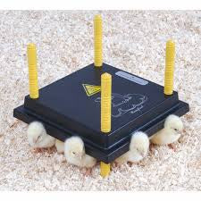 CHICK HEATING PLATE 25CM X 25CM